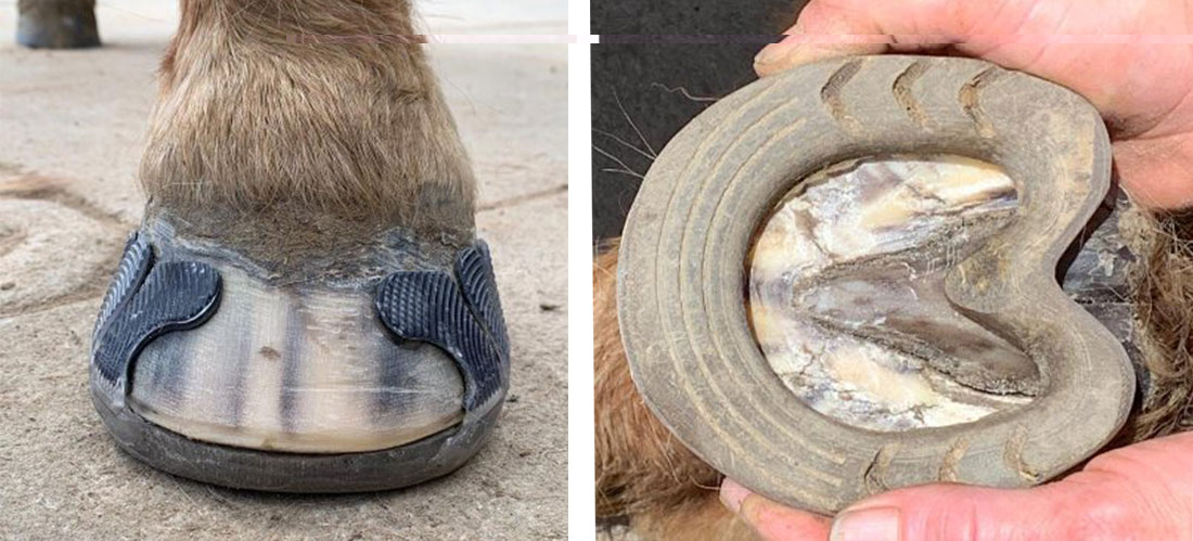 Kunststoffbeschlag mit Klebelaschen am Huf