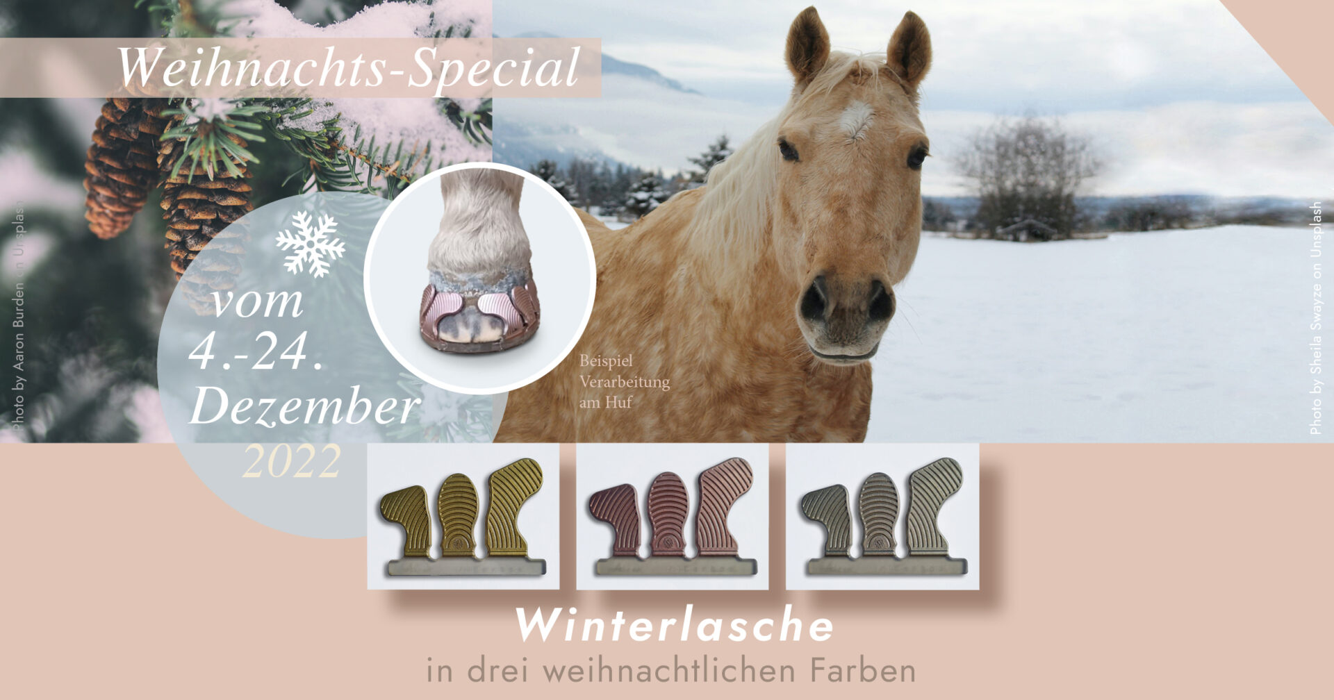 Weihnachtswinterlasche rbCarbon